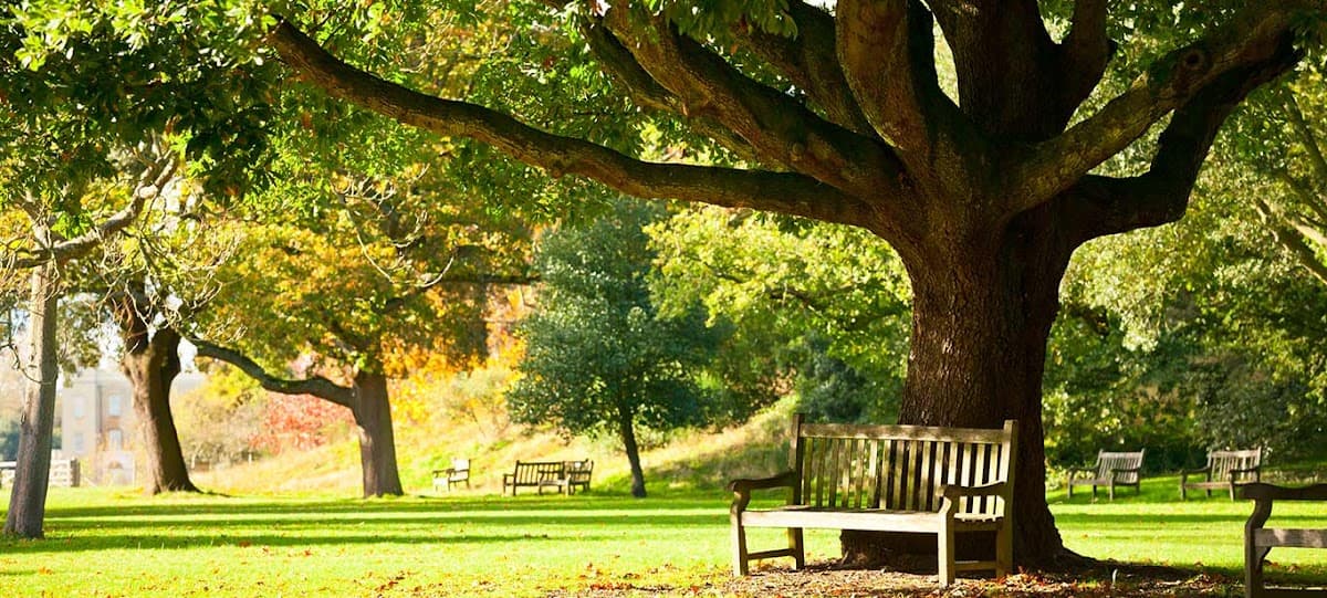 Park Place Seniors Living - Photo 3