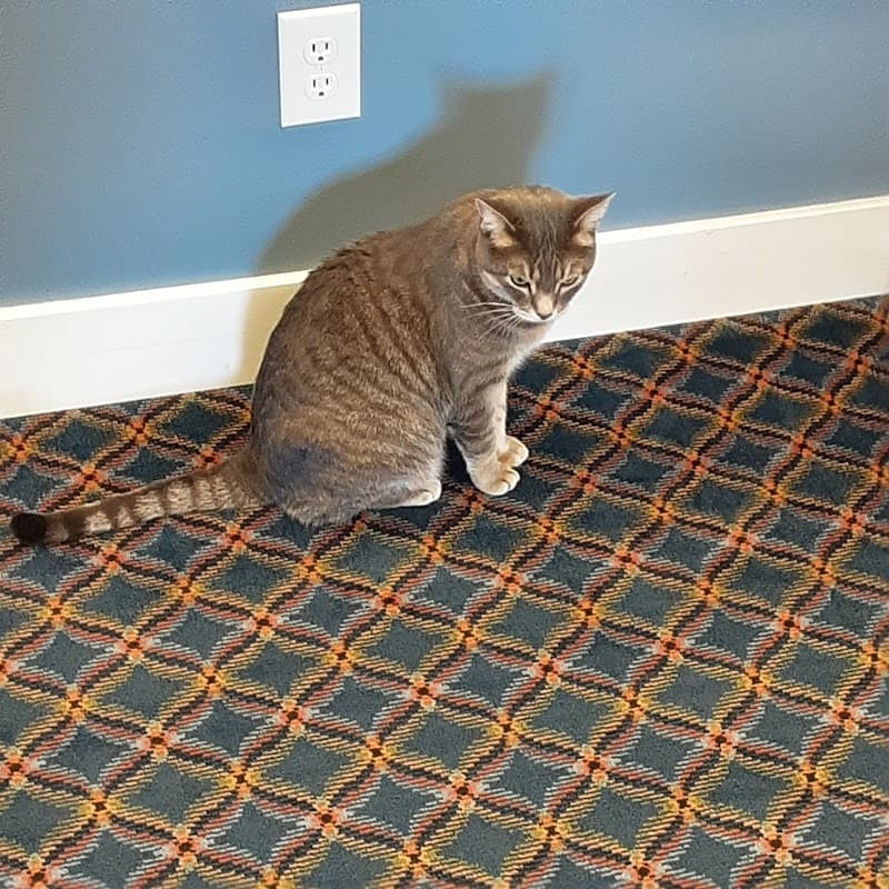 Diamond House | Golden Health Care Inc. - Photo 2