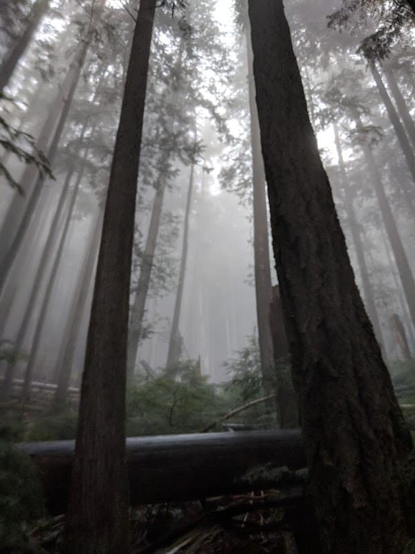 Twin Towers - Photo 1