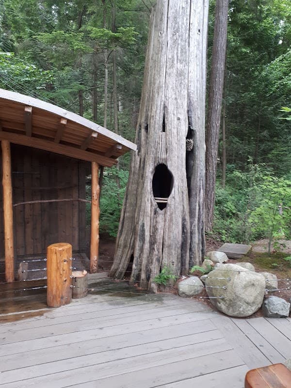 Canyon Manor - Photo 2