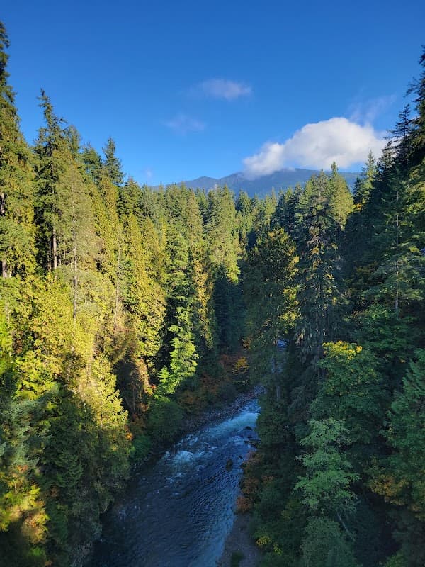 Canyon Manor - Photo 3