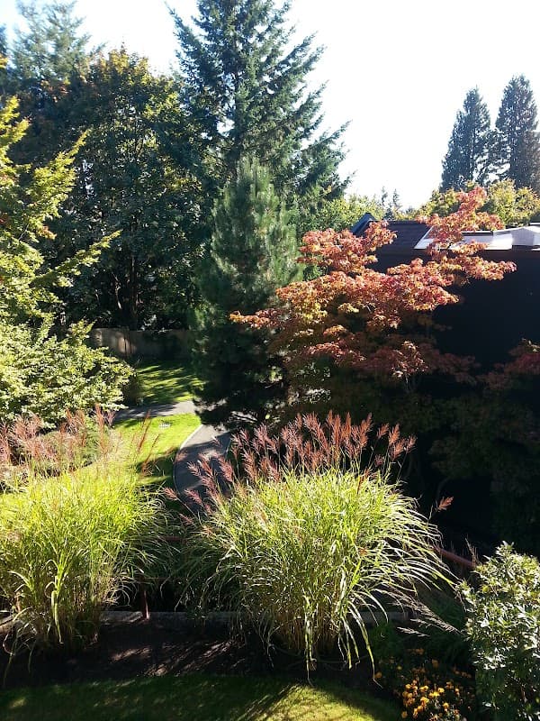 Somerset Green - Photo 3