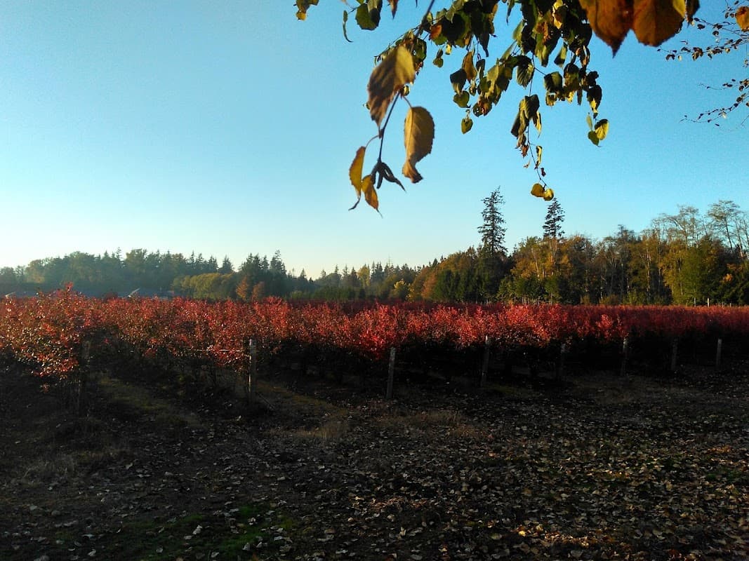 Langley Grove Estates | A Parkbridge Adult Lifestyle Community - Photo 2