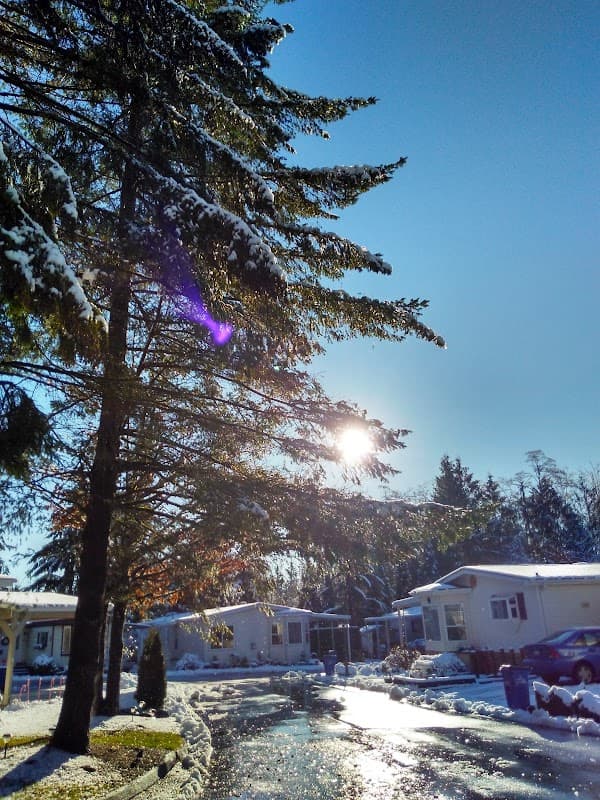 Langley Grove Estates | A Parkbridge Adult Lifestyle Community - Photo 3