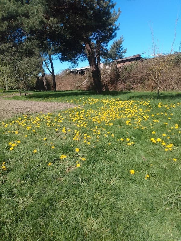 Greenland Housing Co-op - Photo 1