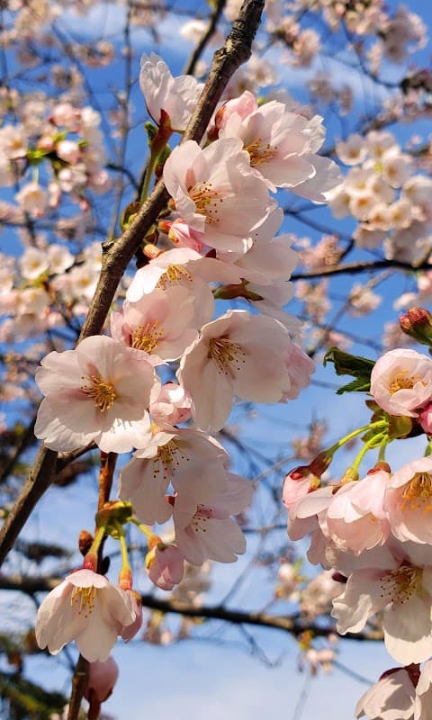 True Davidson Acres Long-Term Care Home (City of Toronto) - Photo 1