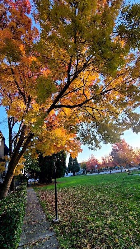 Terra Nova Housing Co-Operative - Photo 1