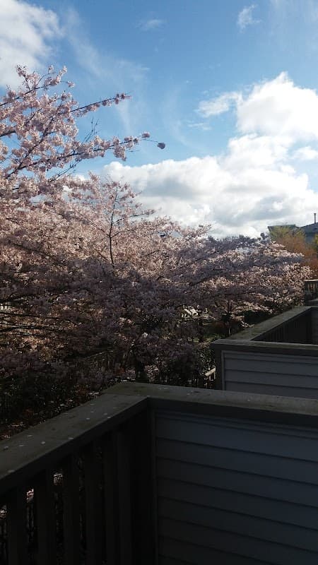 Terra Nova Housing Co-Operative - Photo 2