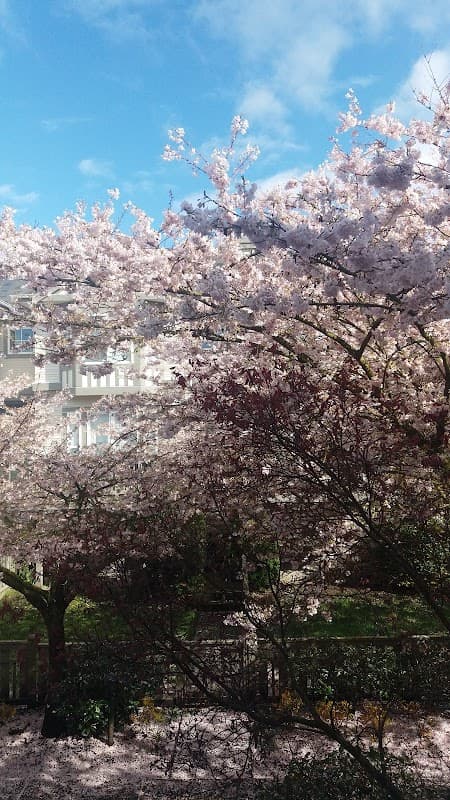 Terra Nova Housing Co-Operative - Photo 3