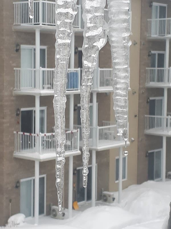 Pavillon Chapleau - Photo 1