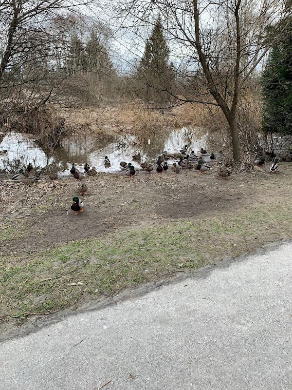 The Langley Senior Resources Society - Photo 2