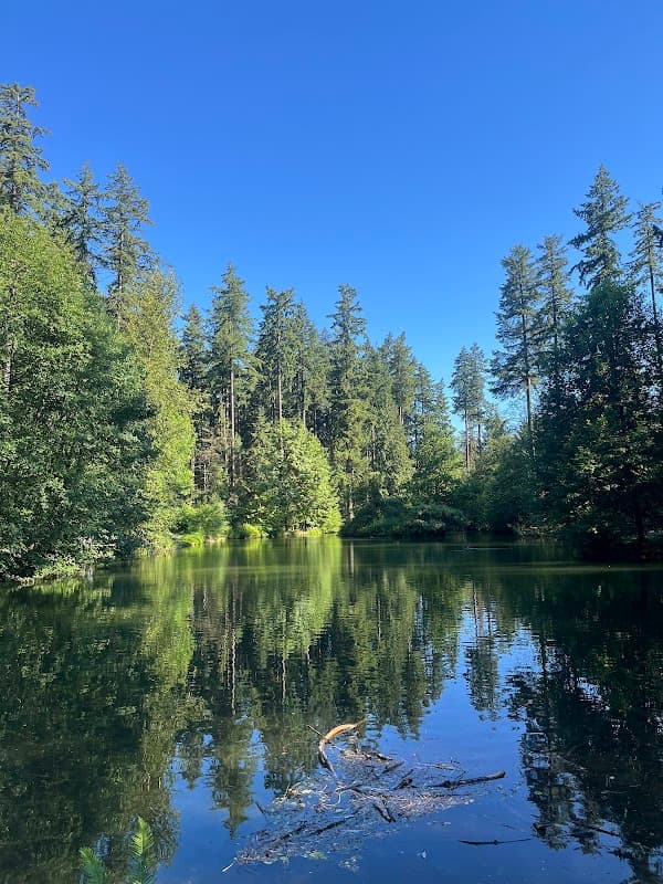 Rainbow's End Housing Co-Operative - Photo 3