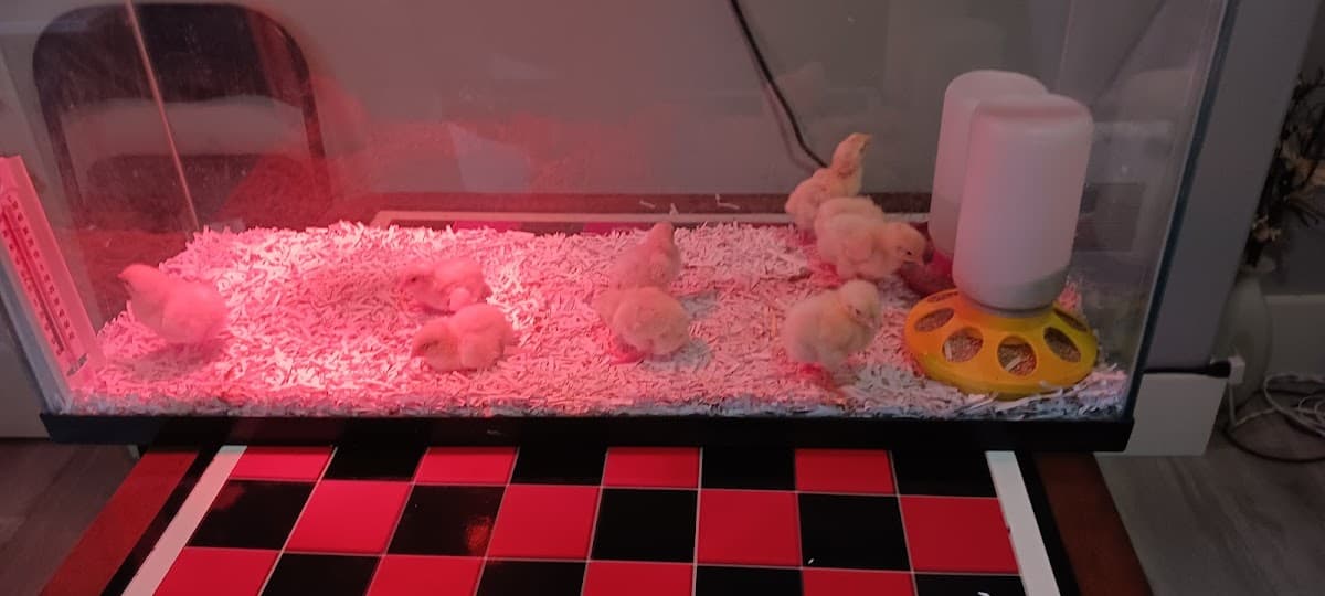 Alderwood Retirement Centre - Photo 2