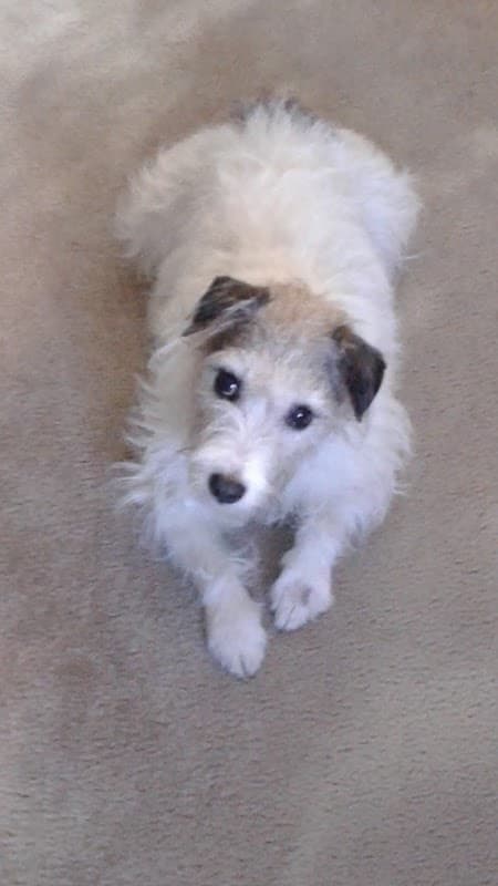 Harbour Heights Apartments - Photo 1