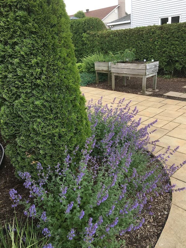 Maison Myosotis - Photo 3