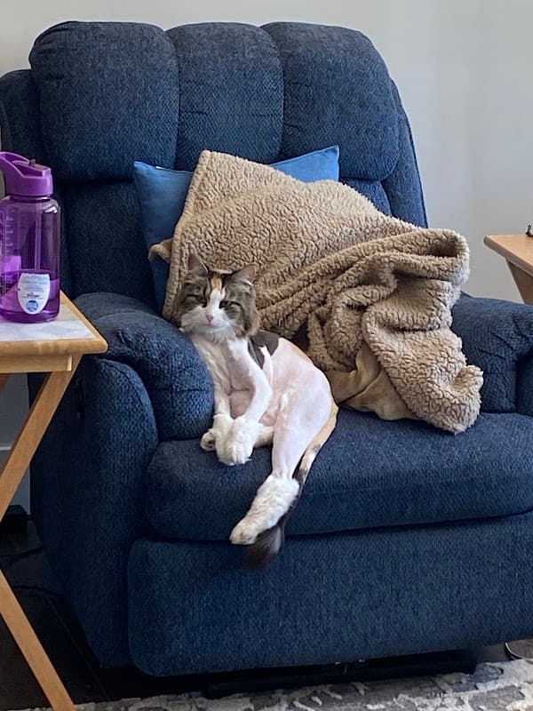 Langley Lions Housing Society - Photo 1