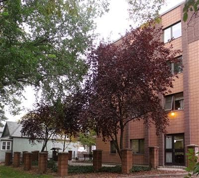 St Basil's Senior Citizen's Manor Incorporated - Photo 1