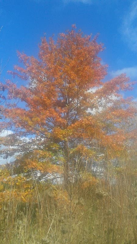 Calvary Manor - Photo 3