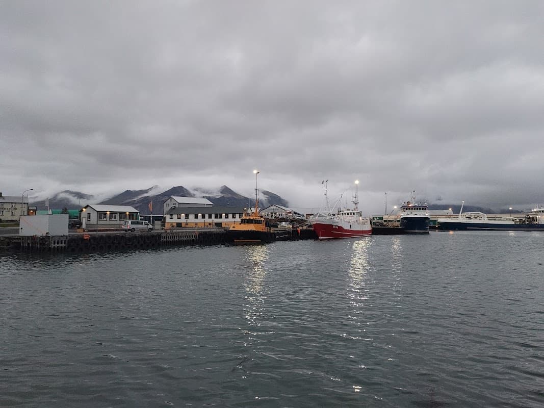 Höfn Icelandic Harbour - Photo 3