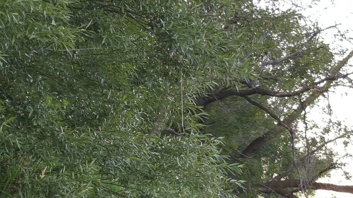 Columbus Centennial Senior Housing Co-Op LTD - Photo 2