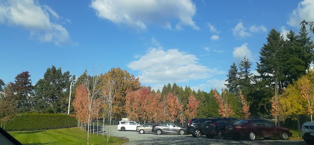 The Mayfair - Photo 2