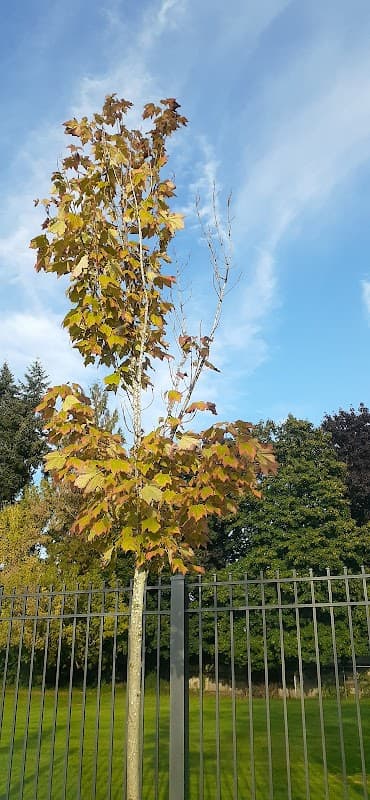 The Mayfair - Photo 3