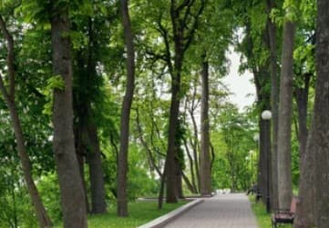 Lakeside Gardens - Photo 3