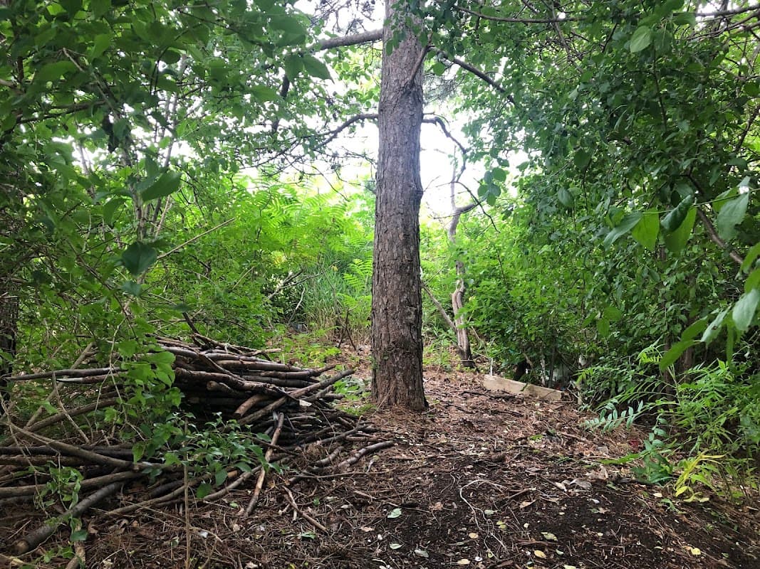 Participation House - Photo 1