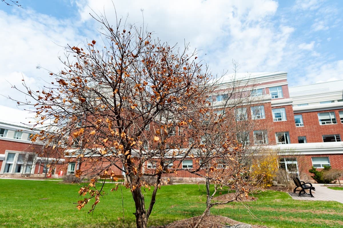 The Elliott Community - Photo 1