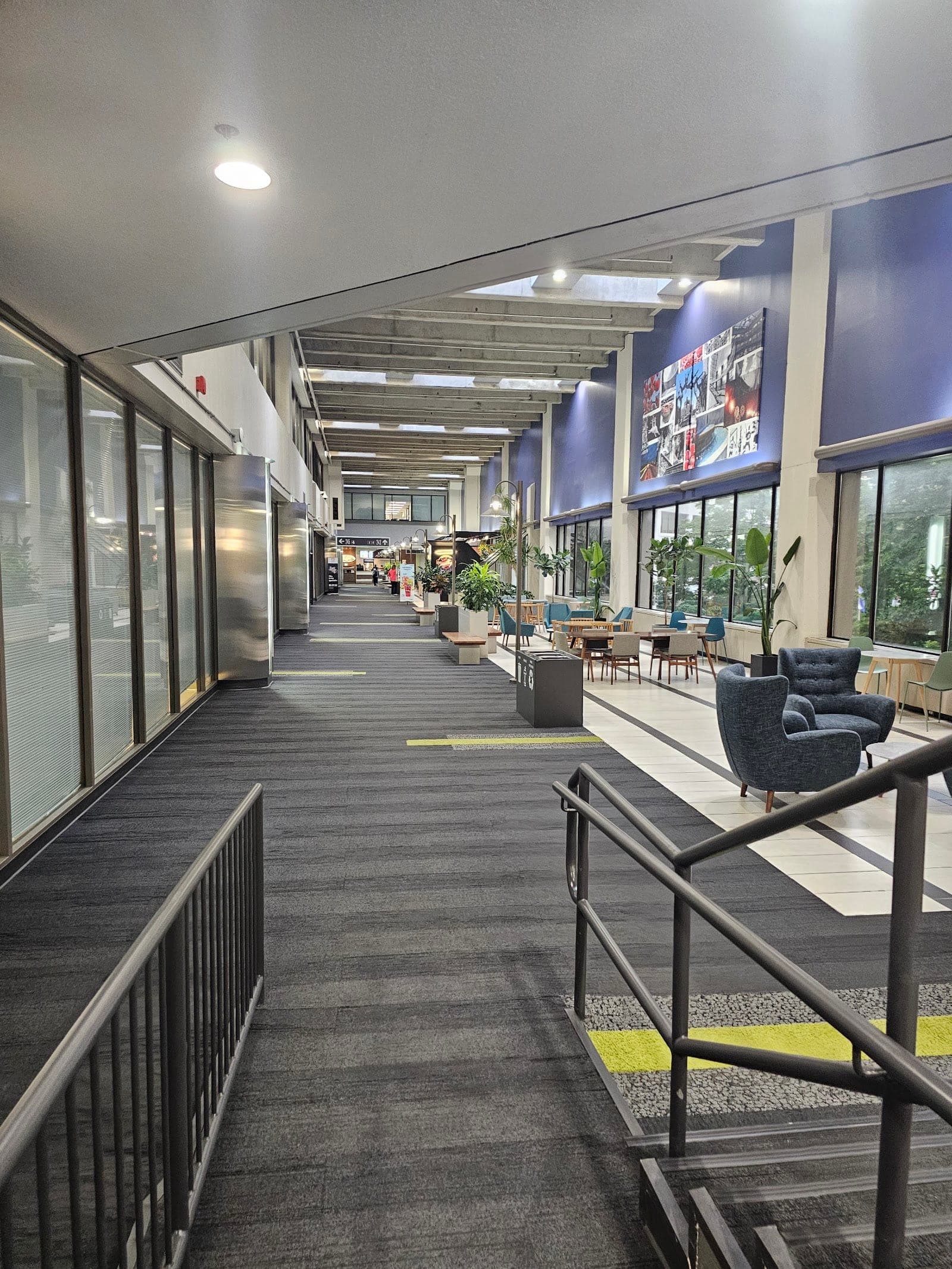 ParaMed North York (photo: Corp AccInfo, via Google)
