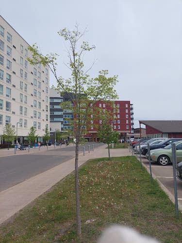 Hogarth Riverview Manor - Photo 1