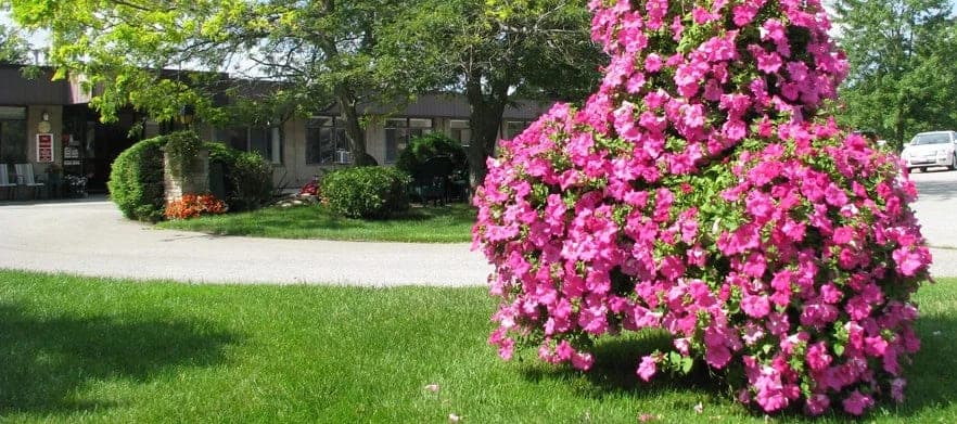 SeniorHome.ca - Watford Quality Care