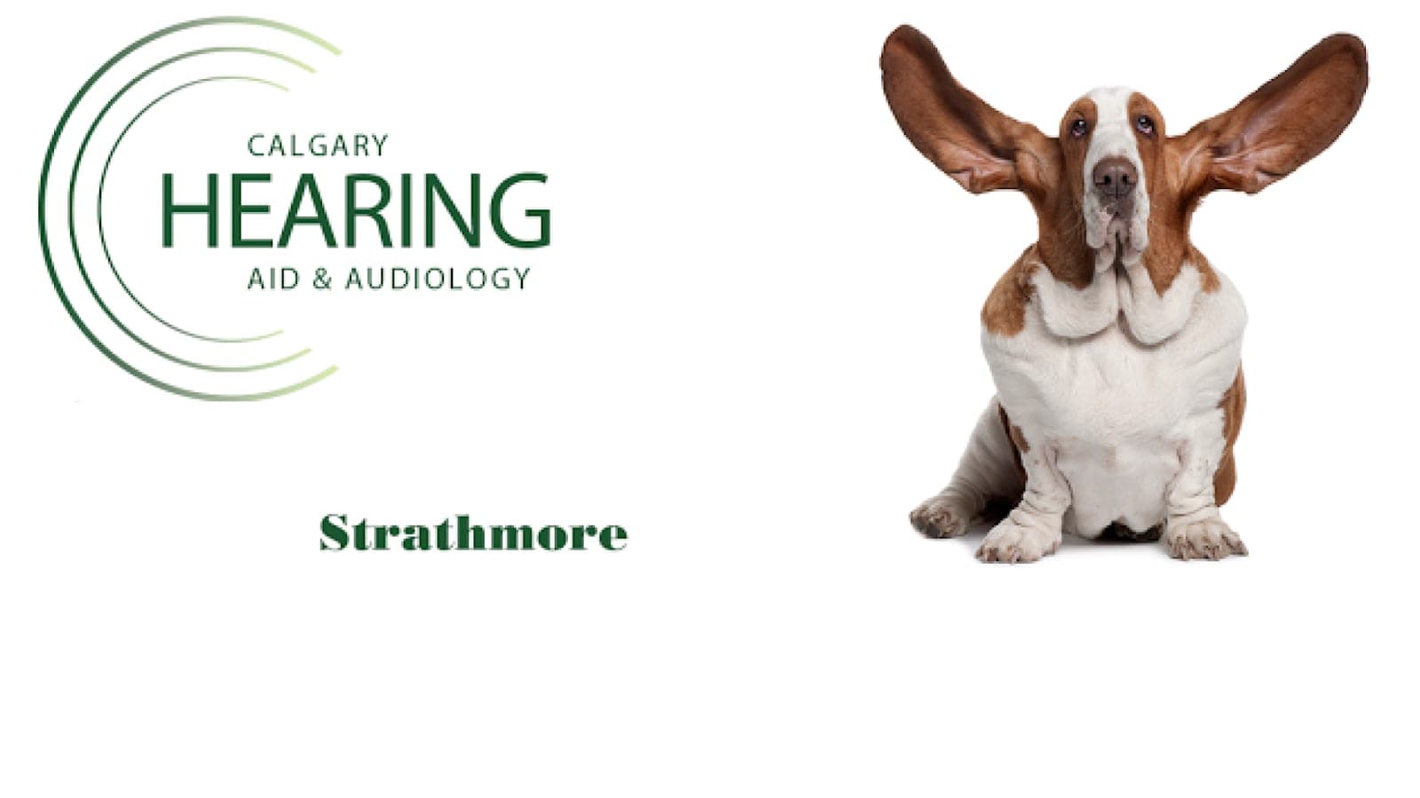 Calgary Hearing Aid & Audiology - Strathmore (photo: Calgary Hearing Aid & Audiology - Strathmore, via Google)