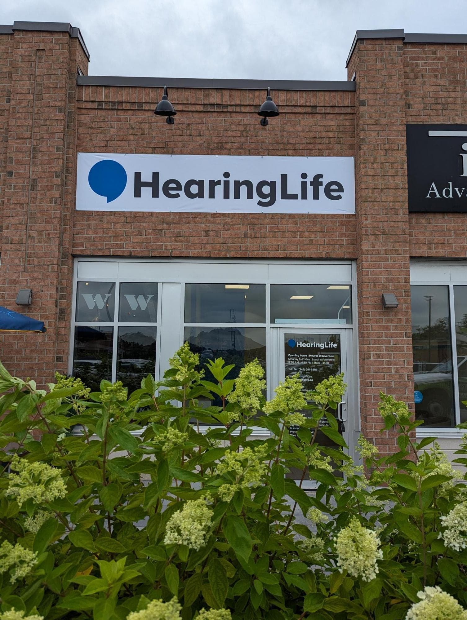 HearingLife (photo: HearingLife, via Google)