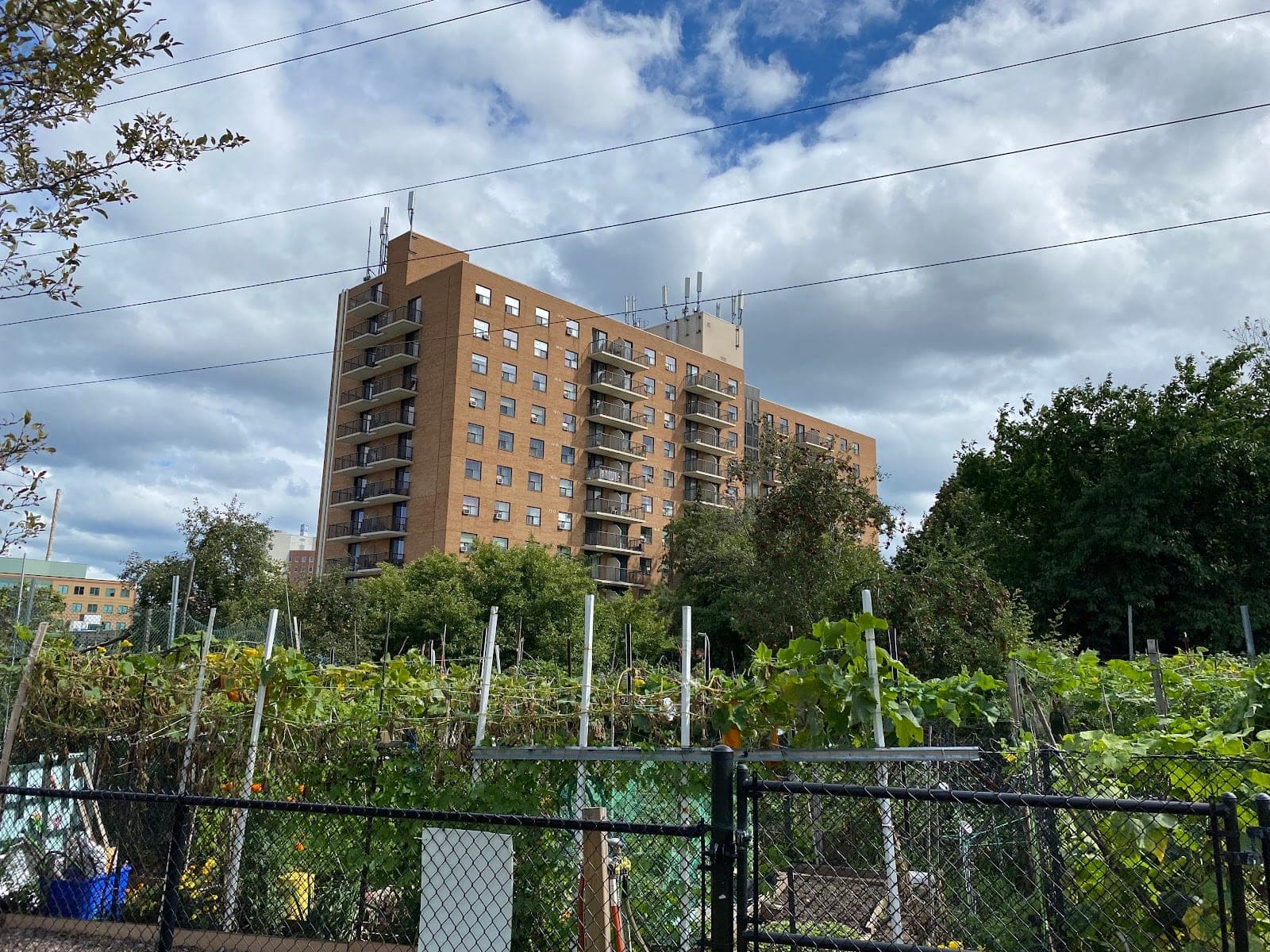 Jack Goodlad Senior Citizen Apartments (photo: Sterling, via Google)