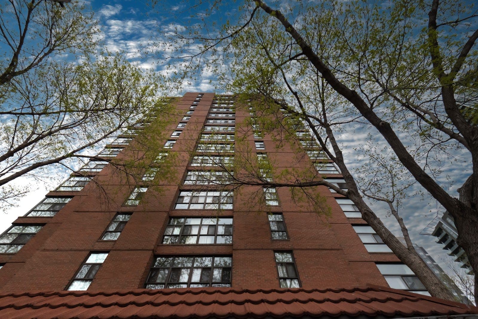 Silvera - Alex Walker Tower (photo: Alex Walker Tower, via Google)