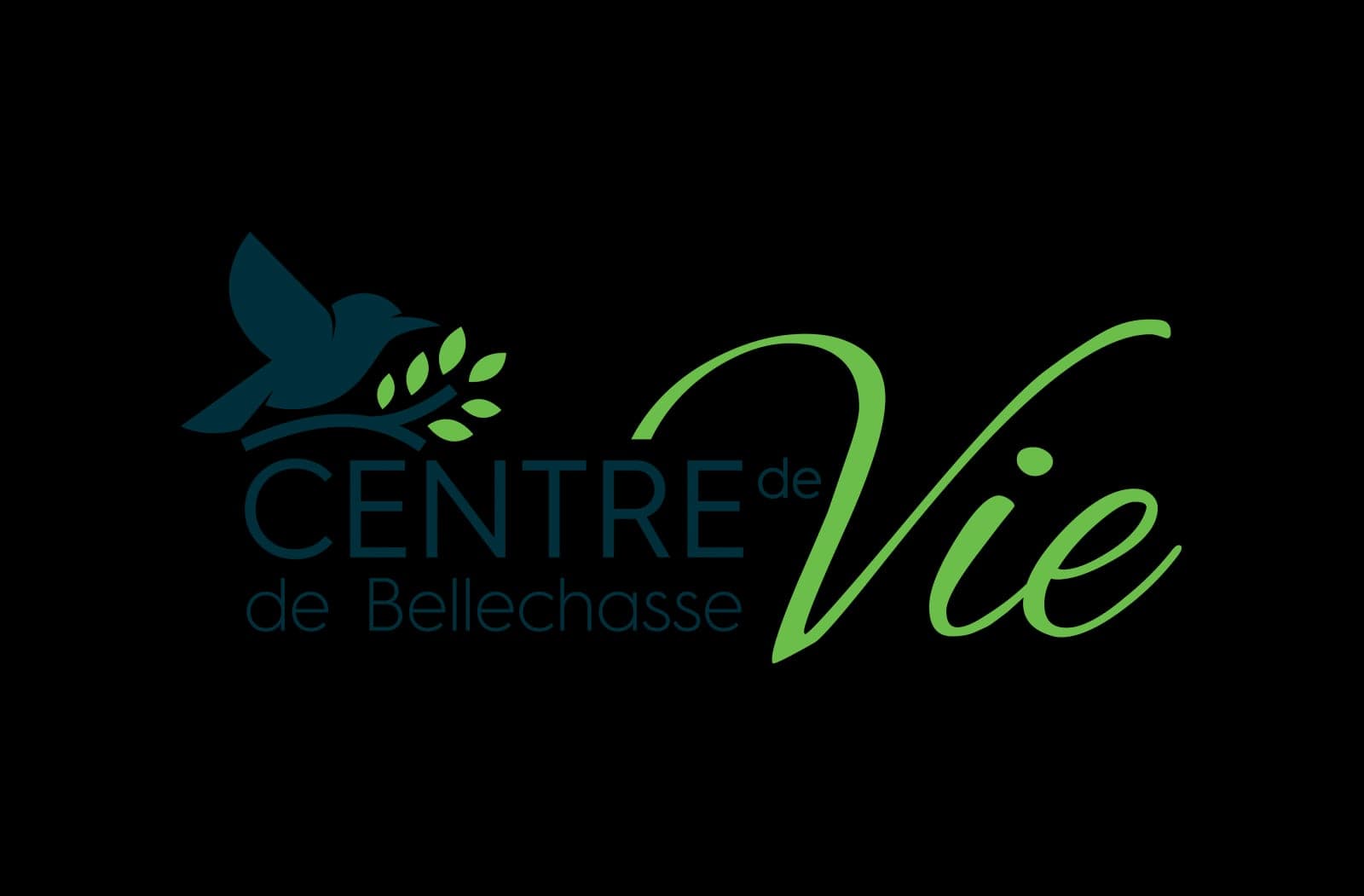 Centre de Vie de Bellechasse (photo: Centre de Vie de Bellechasse inc., via Google)