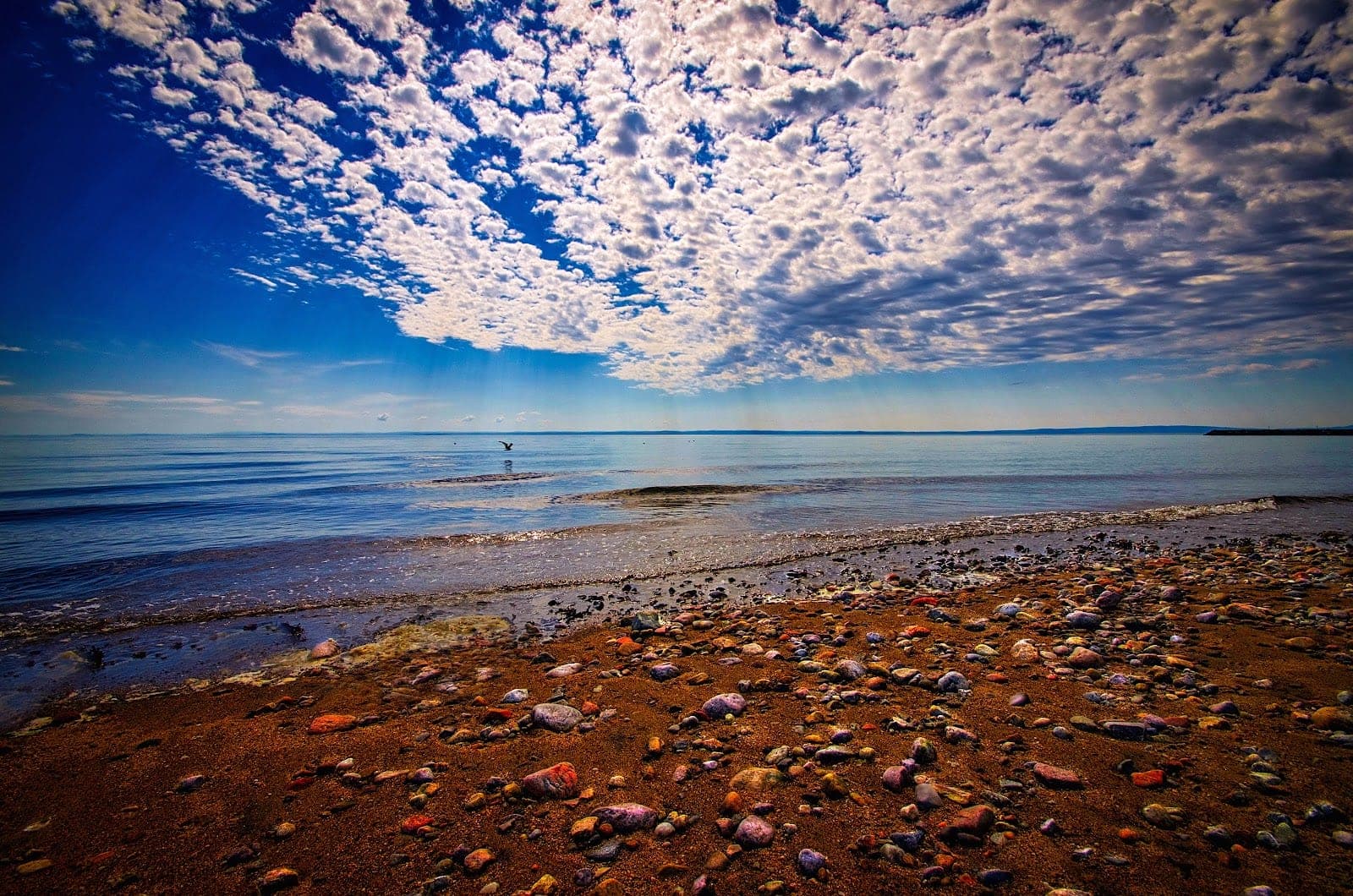 Accueil-Bellerive (photo: dan y, via Google)