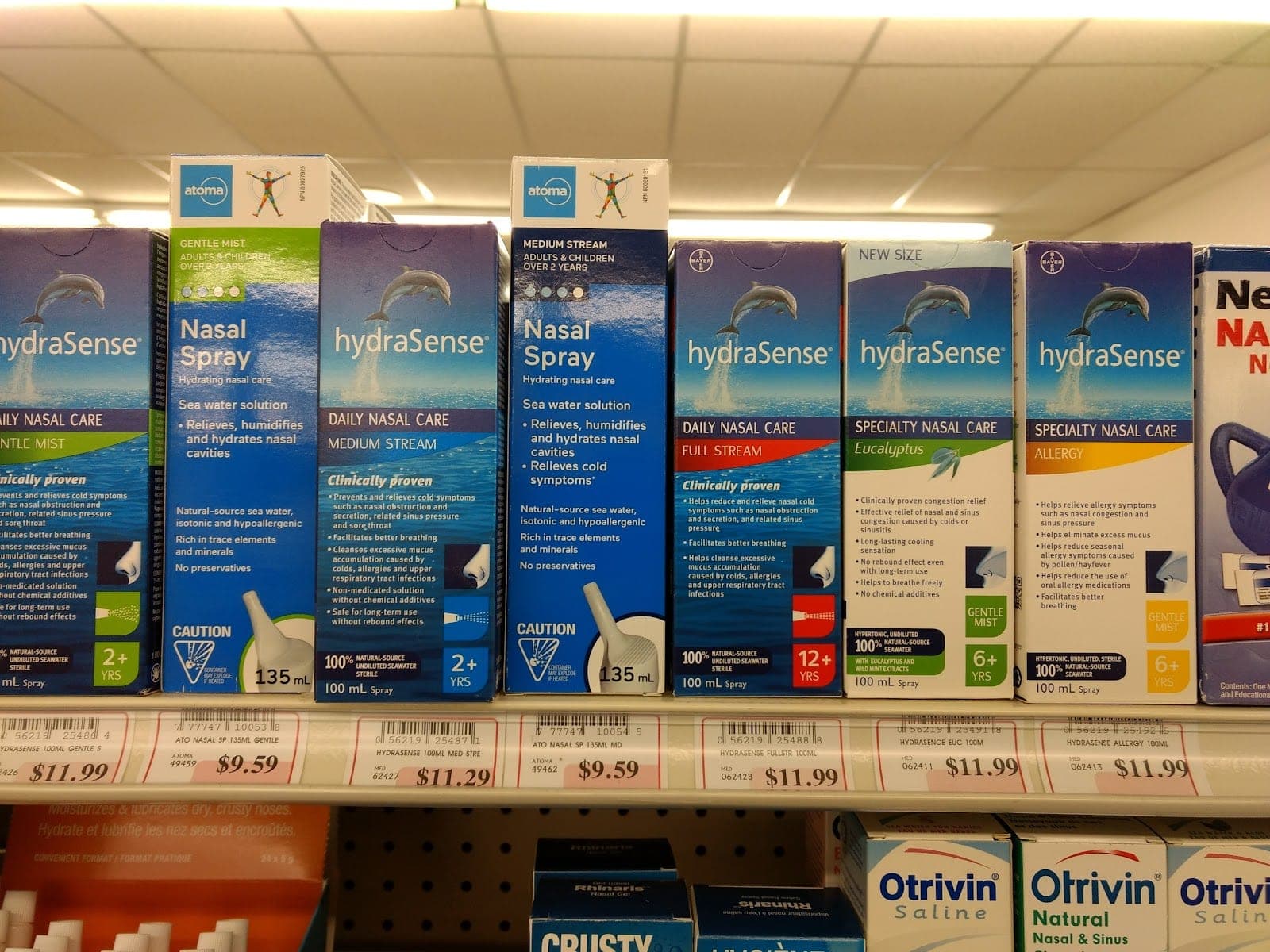 Roulstons Pharmacy (photo: David Davidson, via Google)