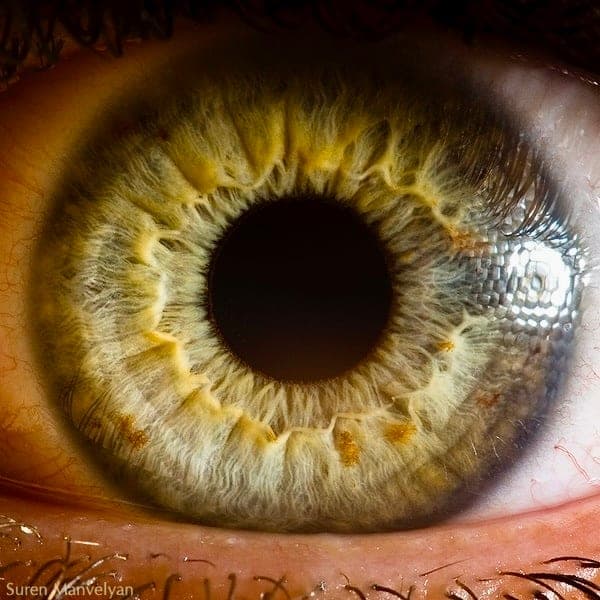 Kniaziew Optometry (photo: Kniaziew Optometry, via Google)