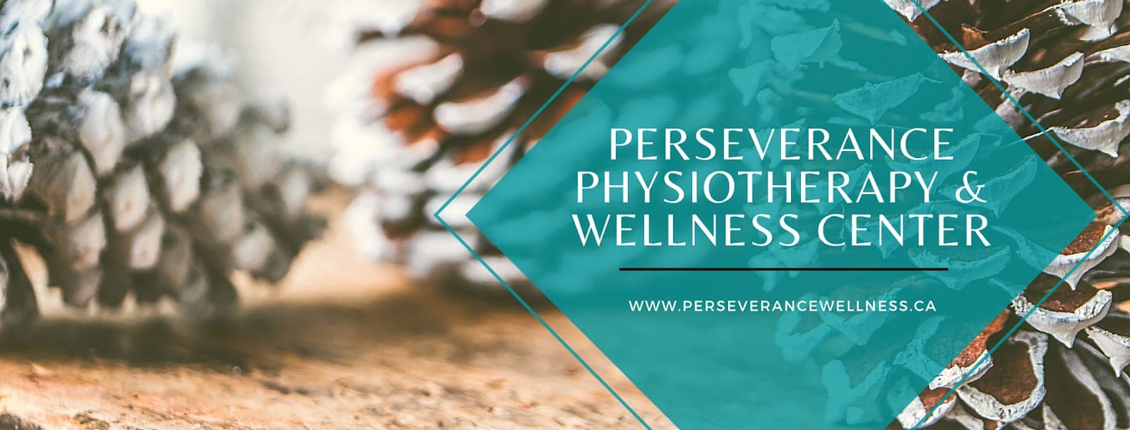 Perseverance Physiotherapy and Wellness Center (photo: Perseverance Physiotherapy and Wellness Center, via Google)