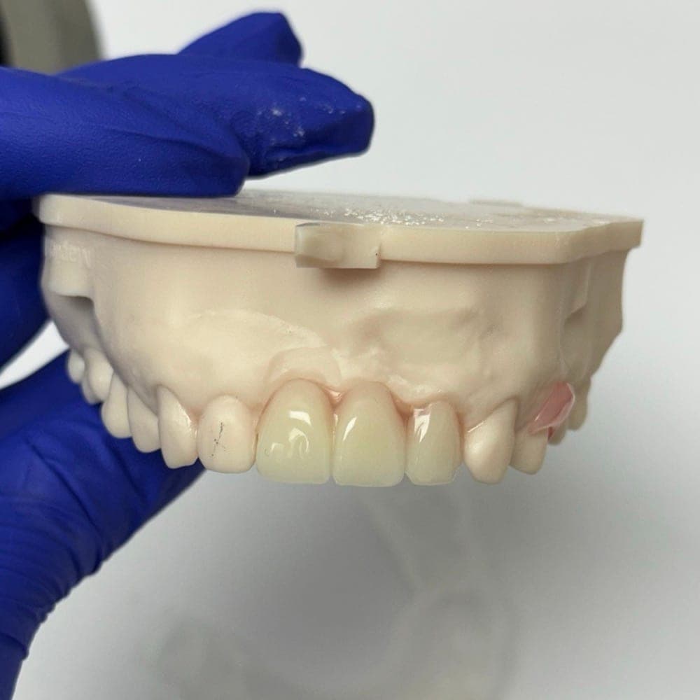 SeniorHome.ca - Anna Korol, Denturist