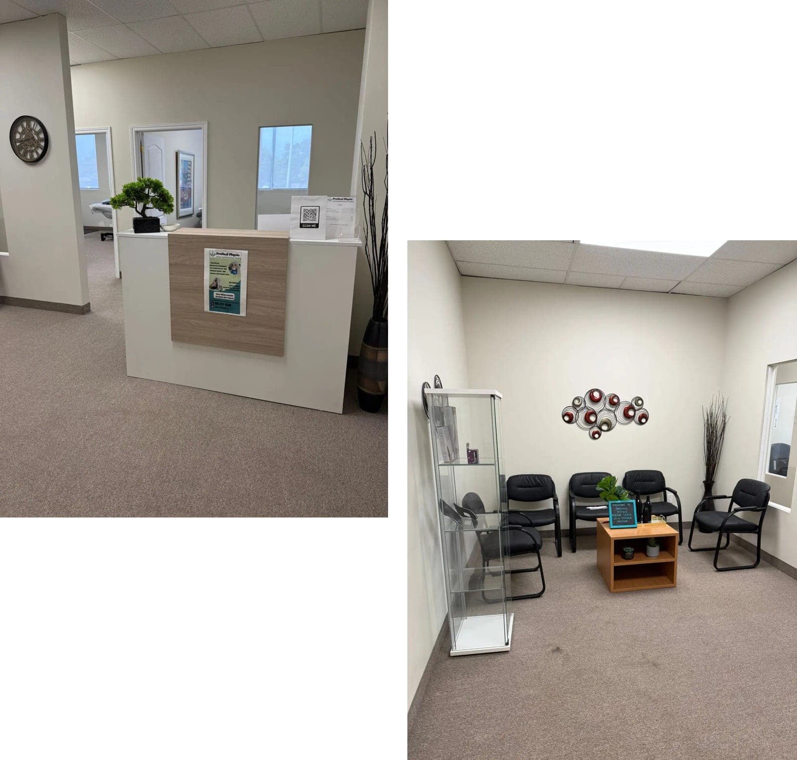SeniorHome.ca - ProHeal Physio - Physiotherapy Near Me - Physiotherapy services in Hamilton Hamilton, Upper James