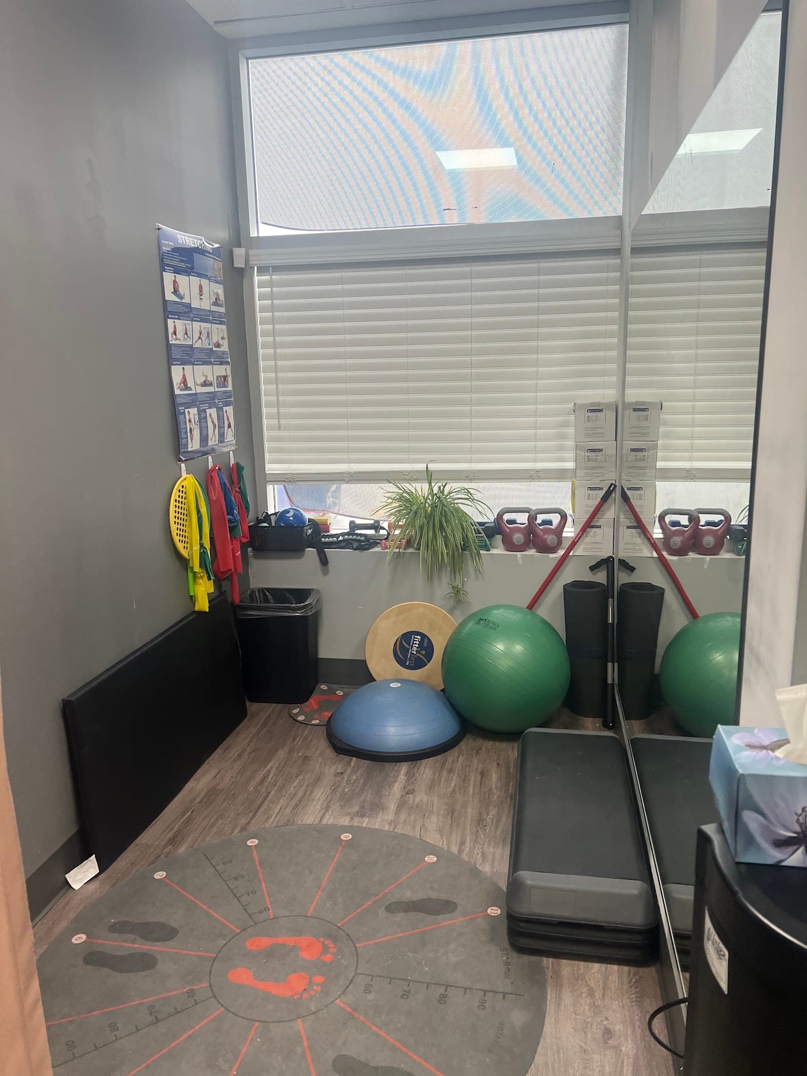 Fletcher Physiotherapy (photo: Edina Bajrektarevic, via Google)