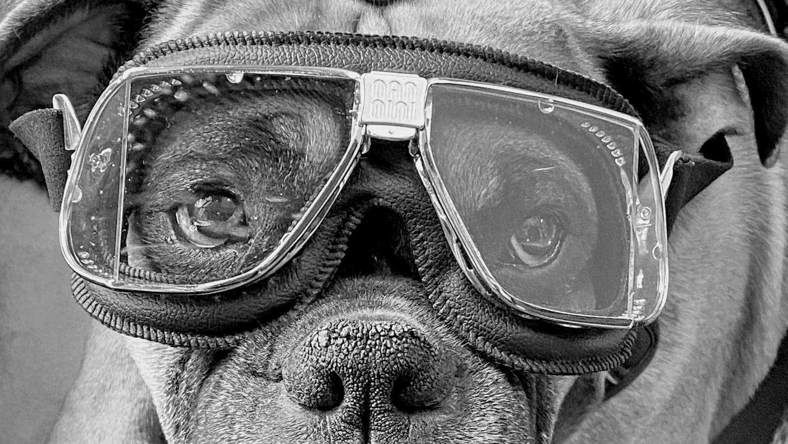 Optika Eclectic Eyeware (photo: Optika Eclectic Eyeware, via Google)