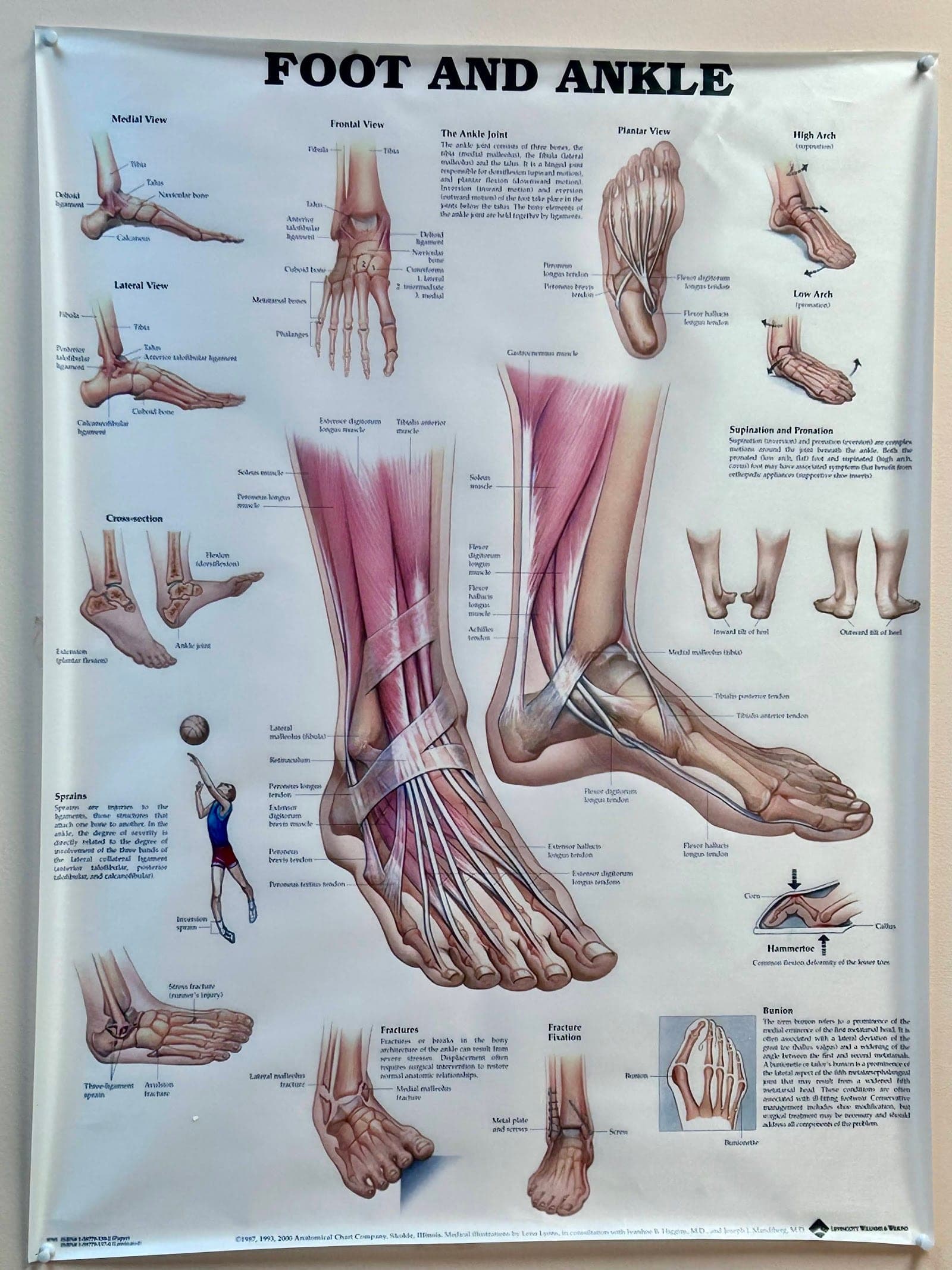 Kerrisdale Family Foot Clinic (photo: John Pozer, via Google)