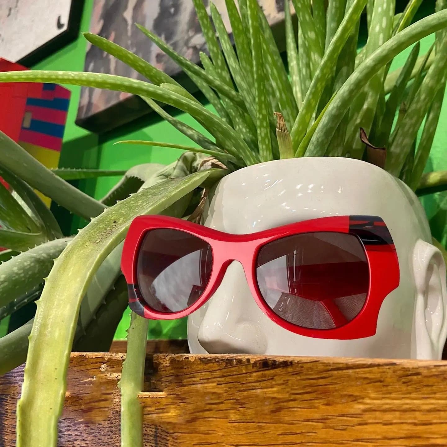 SeniorHome.ca - Goo Goo Goggles Optical
