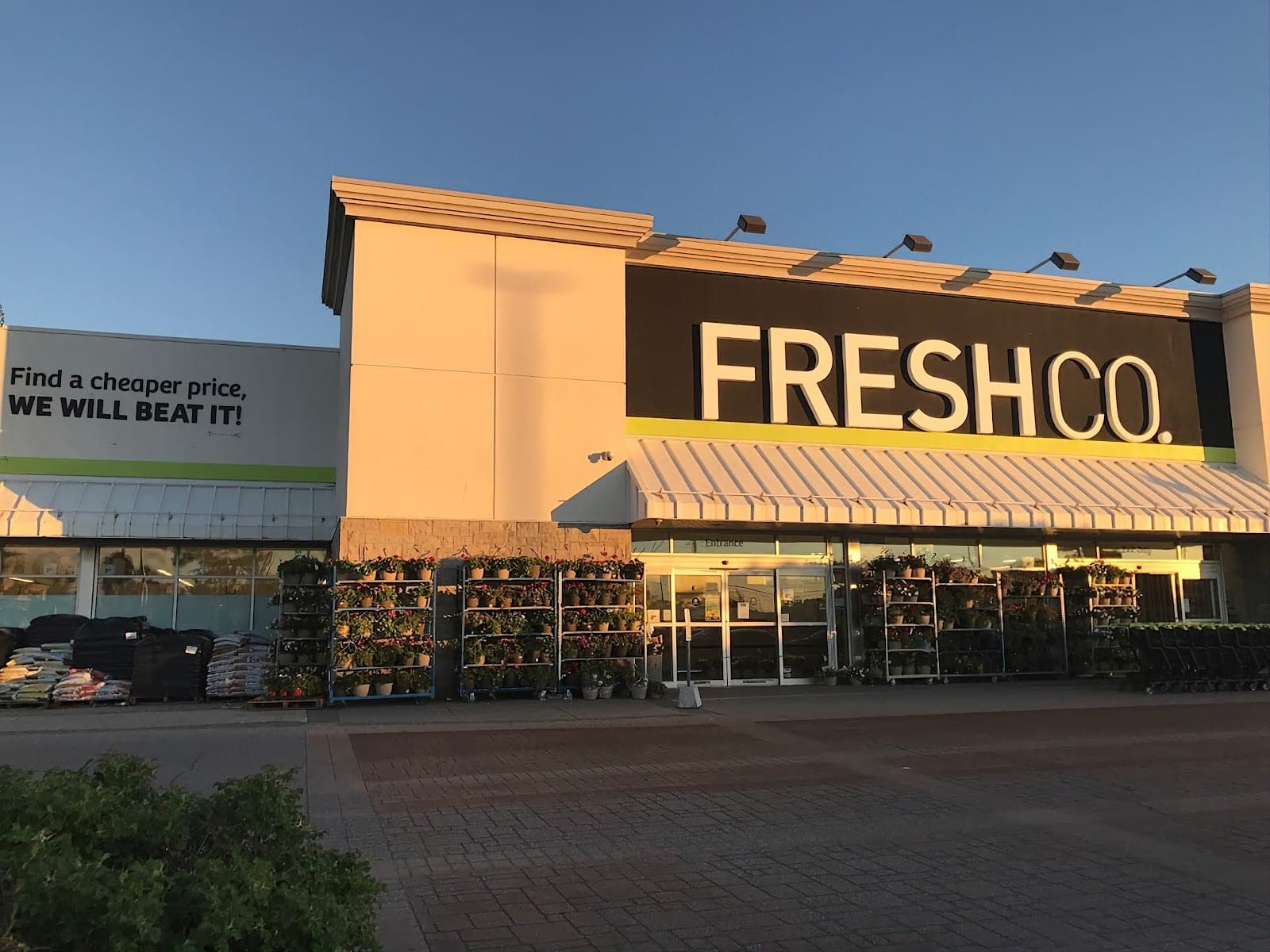 FreshCo Pharmacy Woodbridge (photo: Lazarus, via Google)