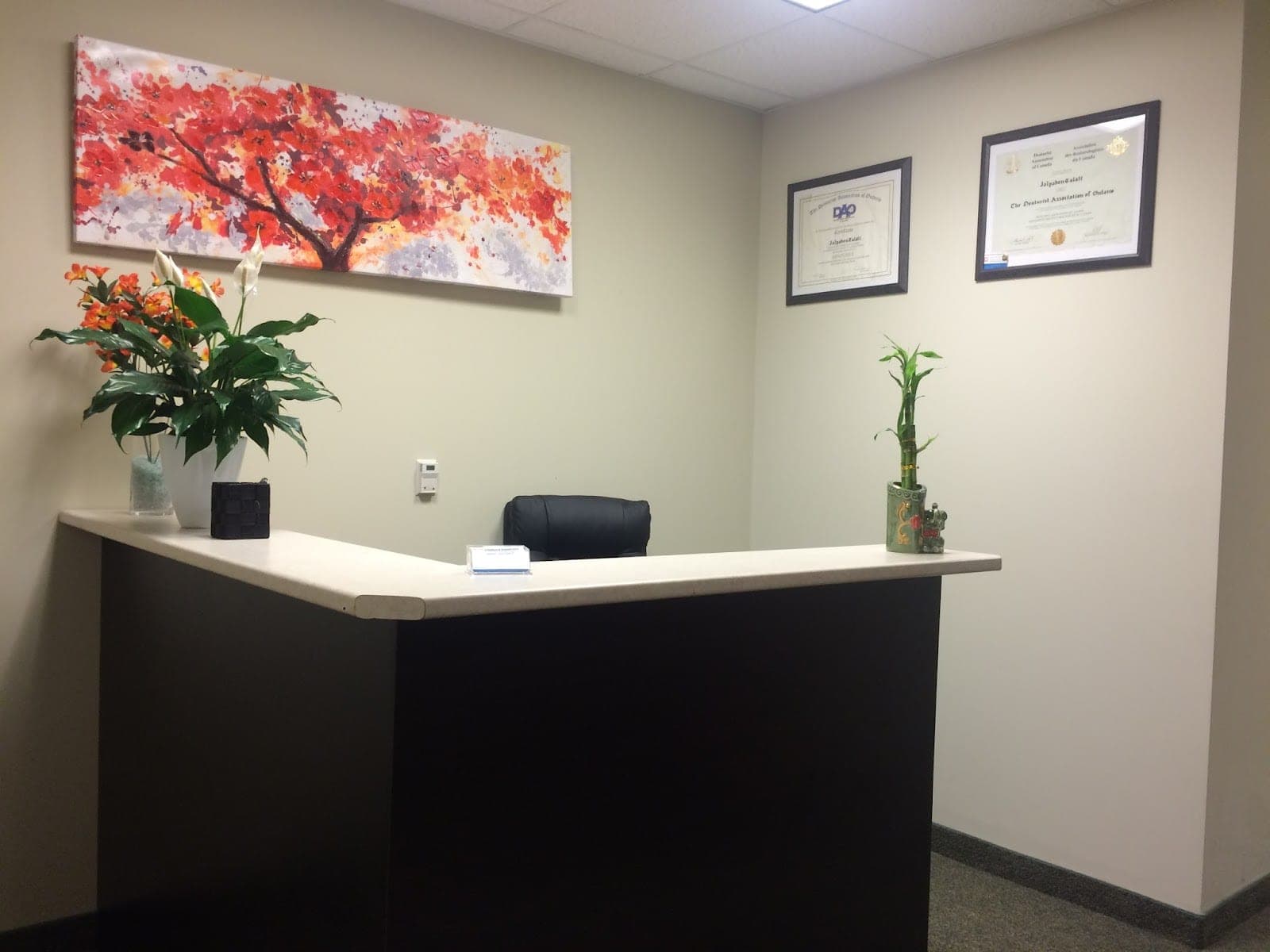 Brampton Denture & Implant Clinic (photo: Brampton Denture & Implant Clinic, via Google)