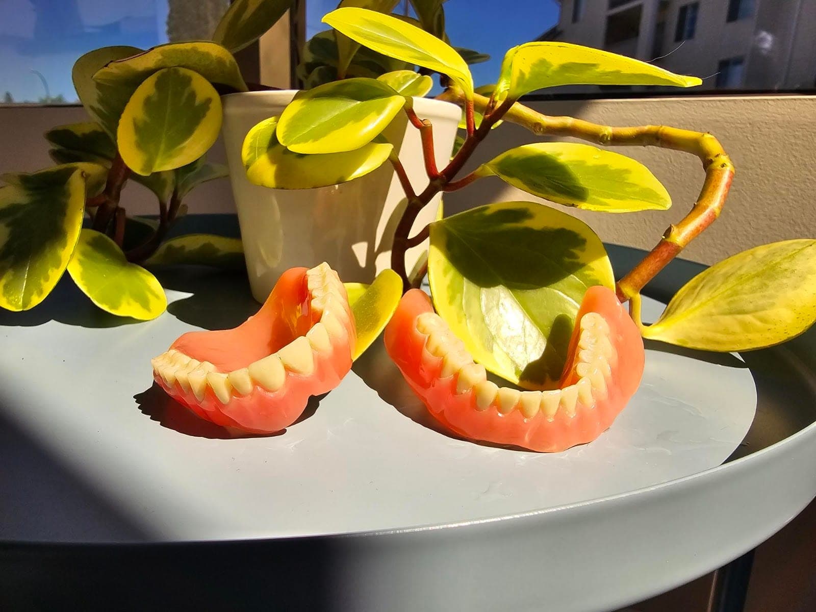 Valley Denture Clinic (photo: Andria Valente, via Google)